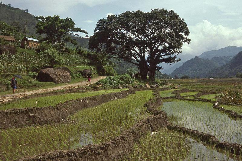 WT 1000 144-20 Nepal.jpg